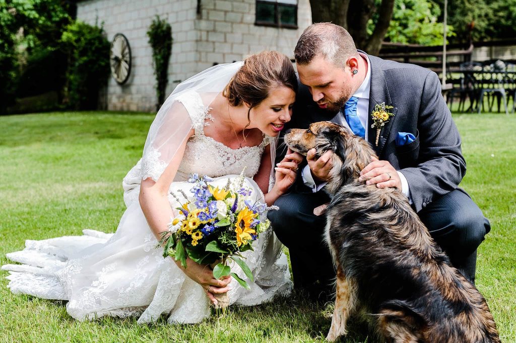Bride and groom bet their dog after their ceremony before heading to their reception at Rothley Court Hotel