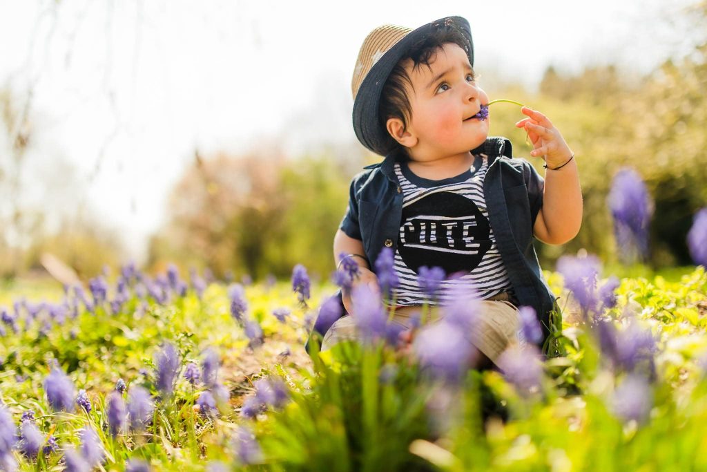 A toddler, captured by a Leicester family photographer, sits among blooming purple flowers in a sunlit field. Theyre wearing a straw hat and a striped shirt with CUTE on it, holding a flower. The background is a blur of greenery and soft light.